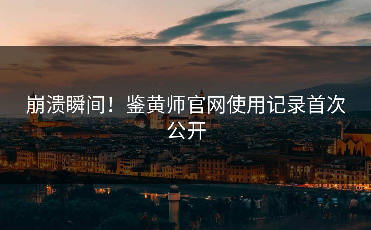 崩溃瞬间！鉴黄师官网使用记录首次公开