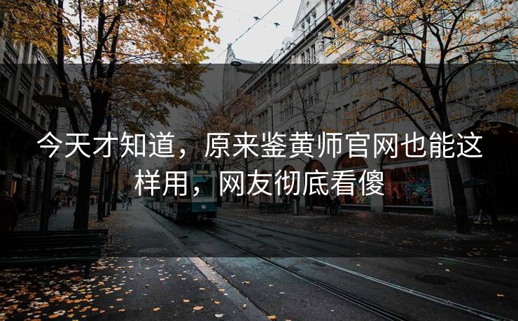 今天才知道，原来鉴黄师官网也能这样用，网友彻底看傻