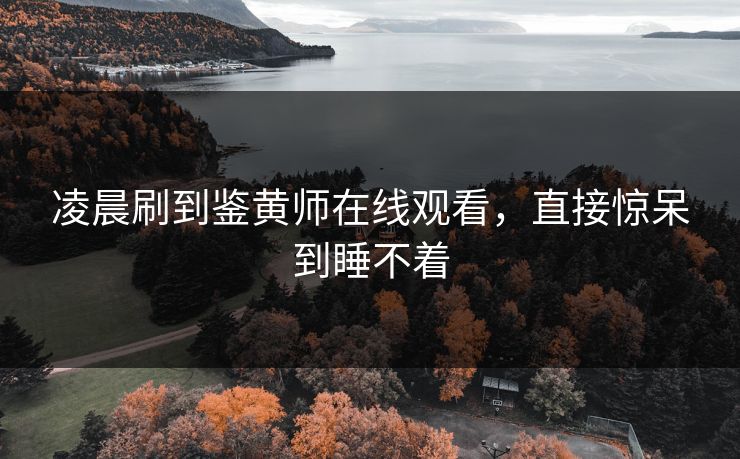 凌晨刷到鉴黄师在线观看，直接惊呆到睡不着