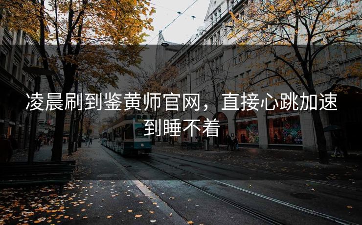 凌晨刷到鉴黄师官网，直接心跳加速到睡不着