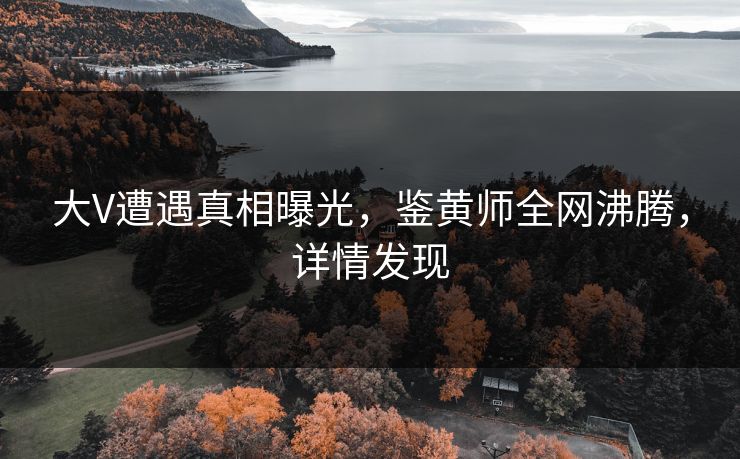 大V遭遇真相曝光，鉴黄师全网沸腾，详情发现