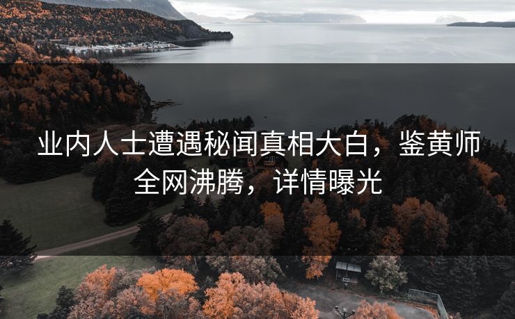 业内人士遭遇秘闻真相大白，鉴黄师全网沸腾，详情曝光