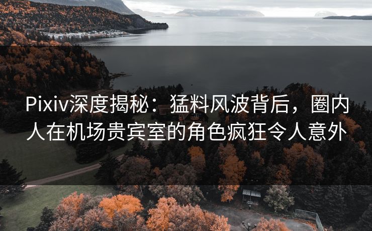 Pixiv深度揭秘：猛料风波背后，圈内人在机场贵宾室的角色疯狂令人意外